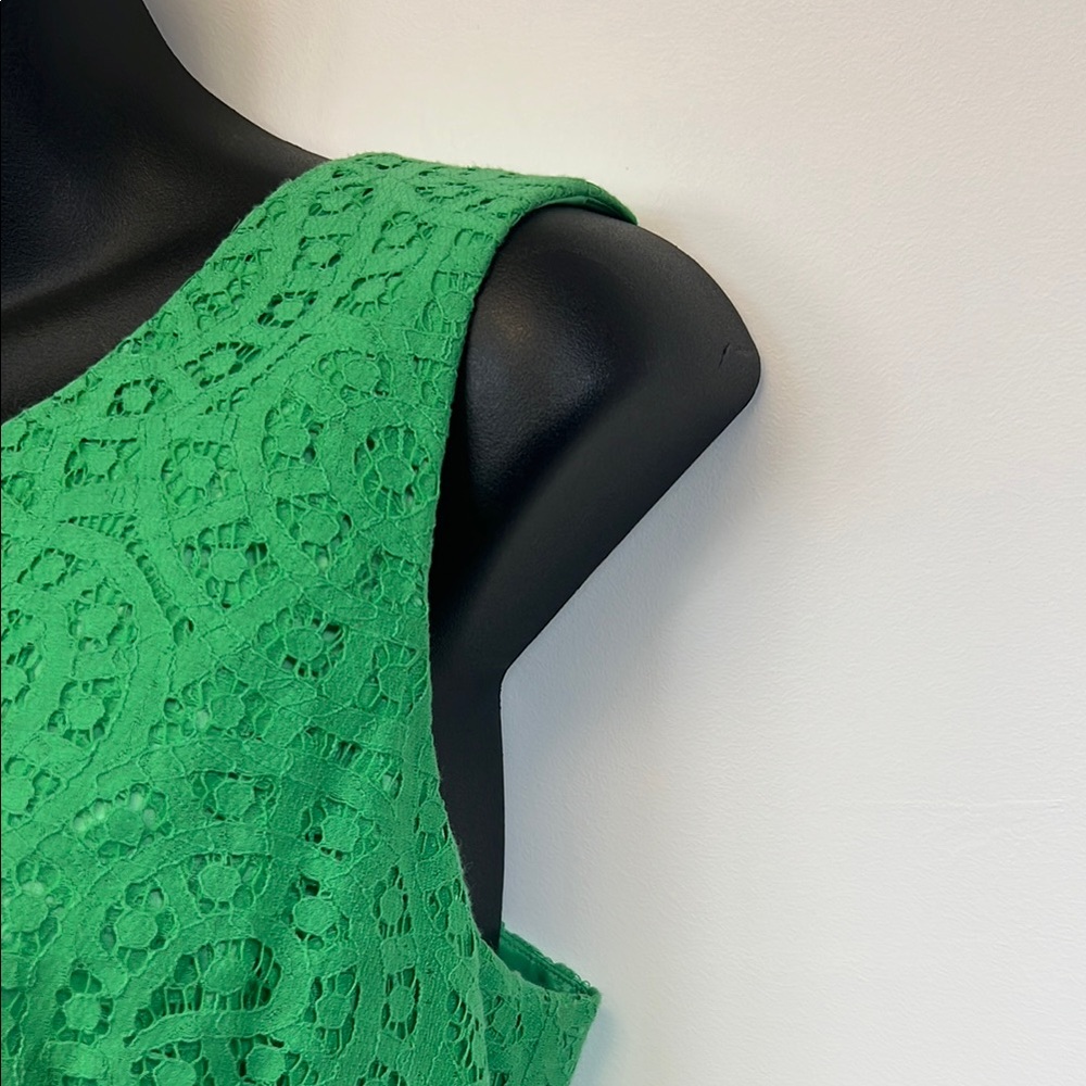 Antonio Melani Chic Green Lace Sleeveless Dress with Eyelash trim Size 12 - Picture 6 of 12
